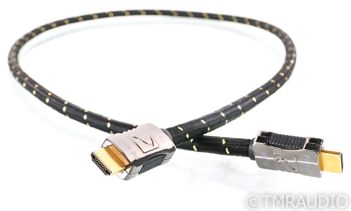 PS Audio Perfectwave i2S-12 i2S Cable