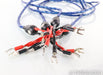 Wire World Oasis 8 Bi-Wire Speaker Cables