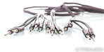 AudioQuest Rocket 33 Bi-wire Speaker Cables