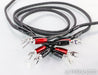 AudioQuest Rocket 44 Full Range Speaker Cables