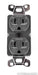 AudioQuest NRG Edison 20 AC Power Wall Outlet