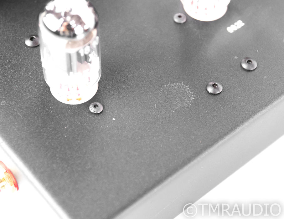 Quicksilver Mid Mono Tube Power Amplifier