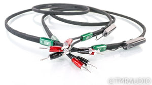 AudioQuest Robin Hood ZERO Speaker Cables; 10ft Pair; 72v DBS (Open Box w/ Warranty)