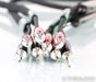 AudioQuest Robin Hood ZERO Speaker Cables; 10ft Pair; 72v DBS (Open Box w/ Warranty)
