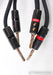 AudioQuest Gibraltar Bi-Wire Speaker Cable