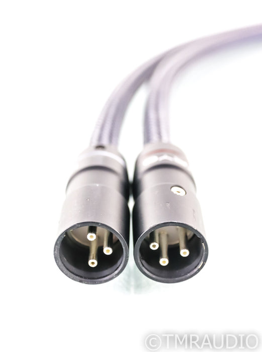 Audio Art Cable Statement e IC XLR Cables