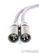 Audio Art Cable Statement e IC XLR Cables