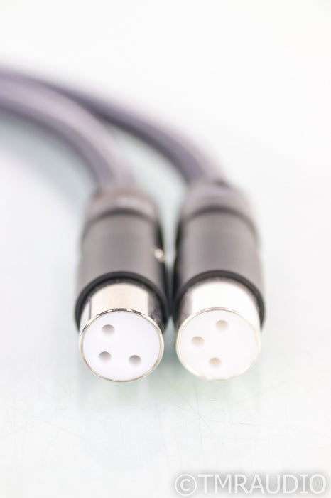 Audio Art Cable Statement e IC XLR Cables