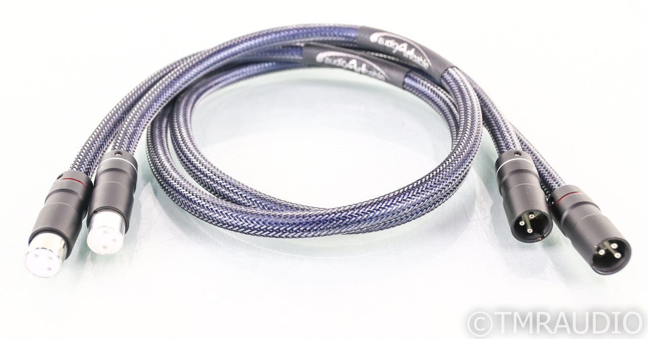 Audio Art Cable Statement e IC XLR Cables