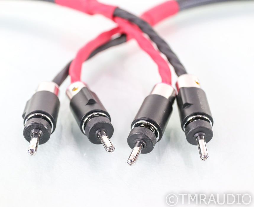Audio Art Cable Statement e SC Cryo Treated Speaker Cables