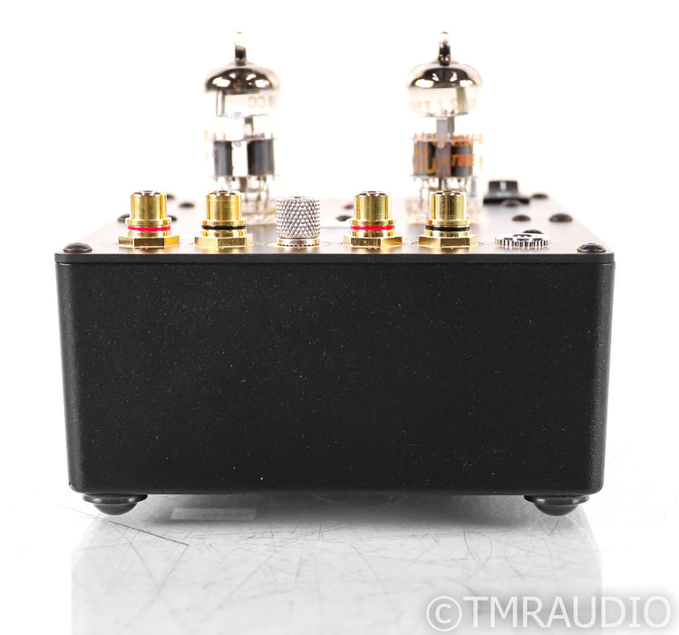 Parks Audio Budgie MM Tube Phono Preamplifier