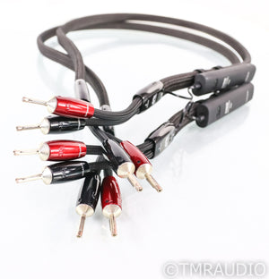 AudioQuest Castle Rock Speaker Cables
