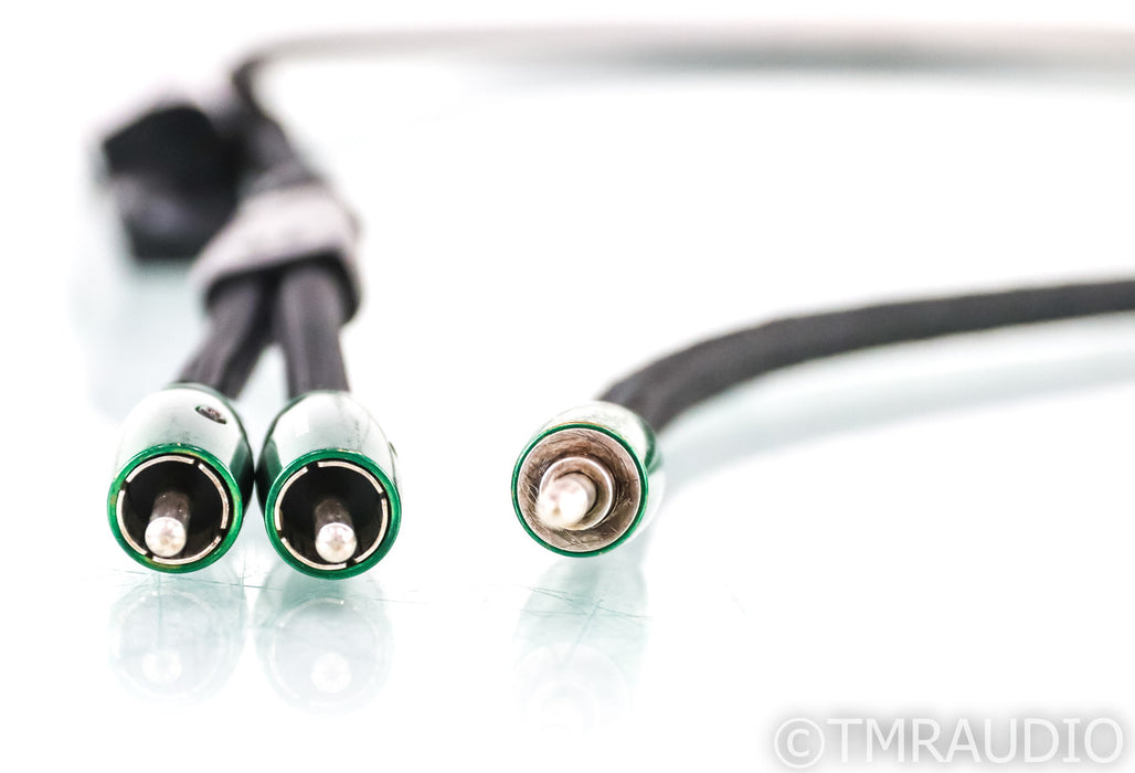 AudioQuest Yosemite 3.5mm to RCA Y-Splitter Cable