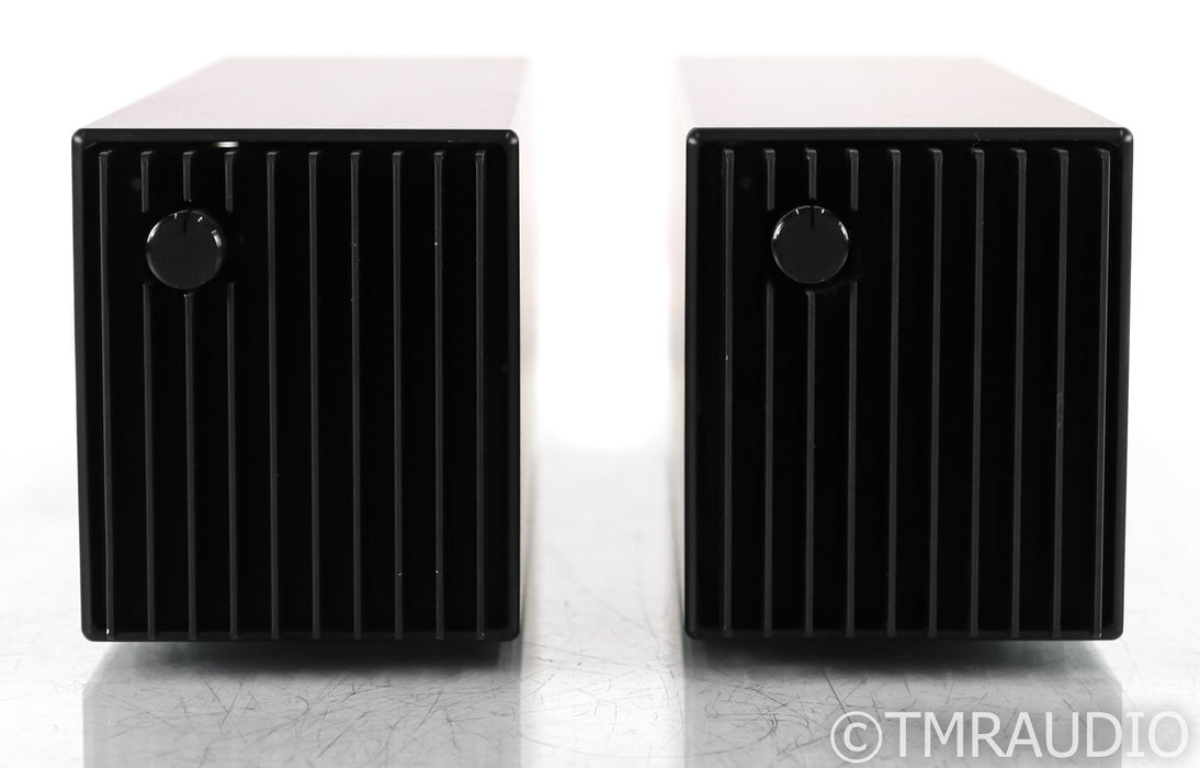 Crimson 640E-III Mono Power Amplifiers
