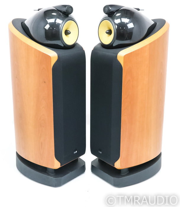 B&W 802D Floorstanding Speakers