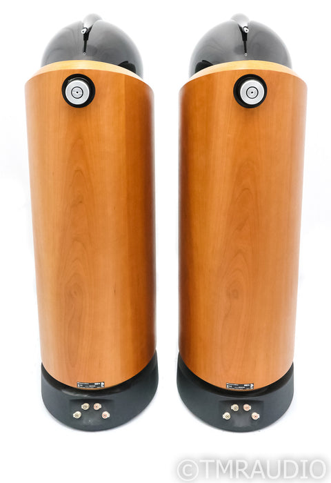 B&W 802D Floorstanding Speakers