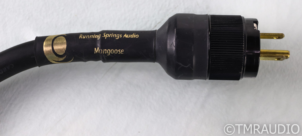 Running Springs Jaco AC Power Line Conditioner
