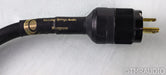 Running Springs Jaco AC Power Line Conditioner