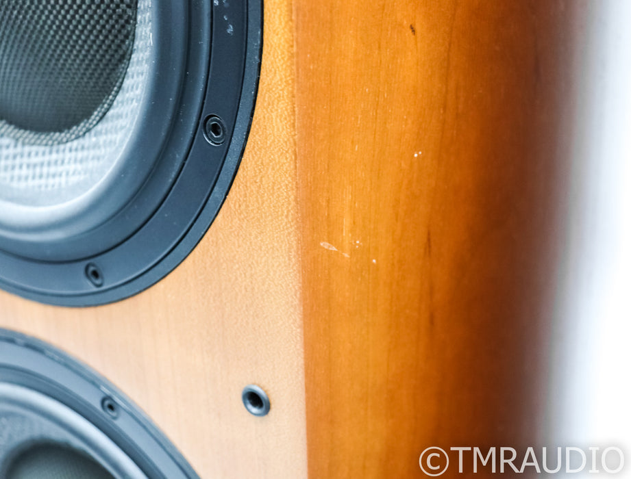 B&W 803S Floorstanding Speakers