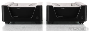 Wyred 4 Sound mAMP Mono Power Amplifier