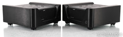 Wyred 4 Sound mAMP Mono Power Amplifier