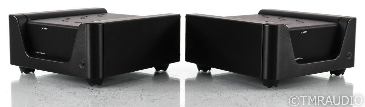 Wyred 4 Sound mAMP Mono Power Amplifier