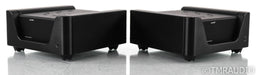 Wyred 4 Sound mAMP Mono Power Amplifier