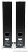 Dynaudio Xeo 6 Wireless Powered Floorstanding Speakers