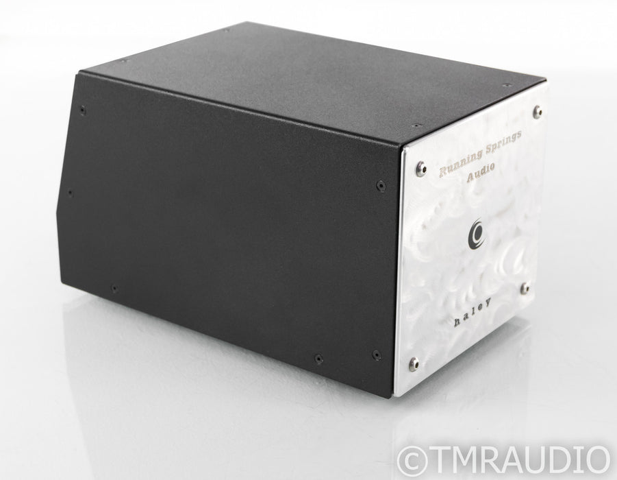 Running Springs Audio Haley AC Line Power Conditioner