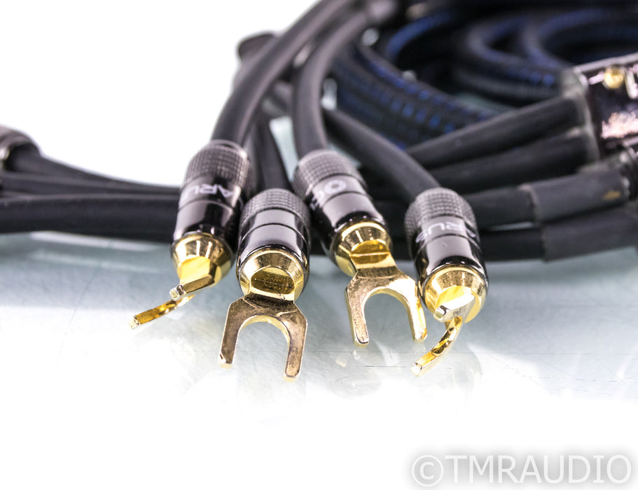 Clarus Aqua Speaker Cables