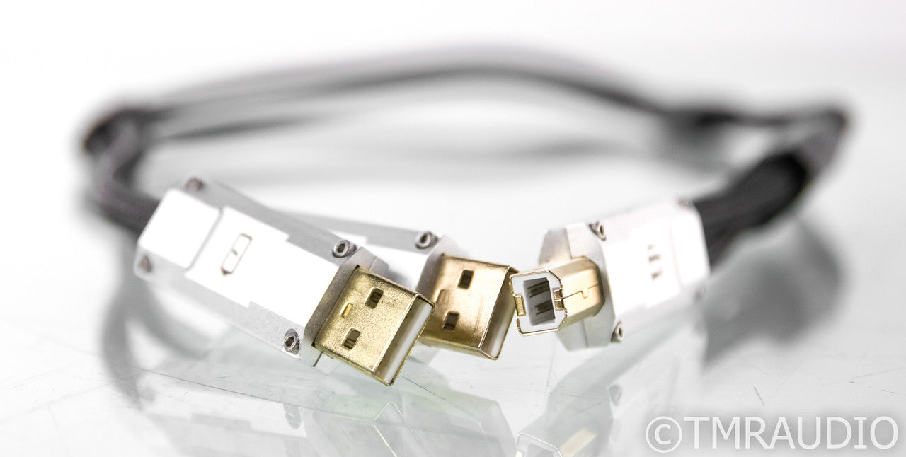 iFi Gemini Dual-Headed USB Cable; .7m Digital Interconnect