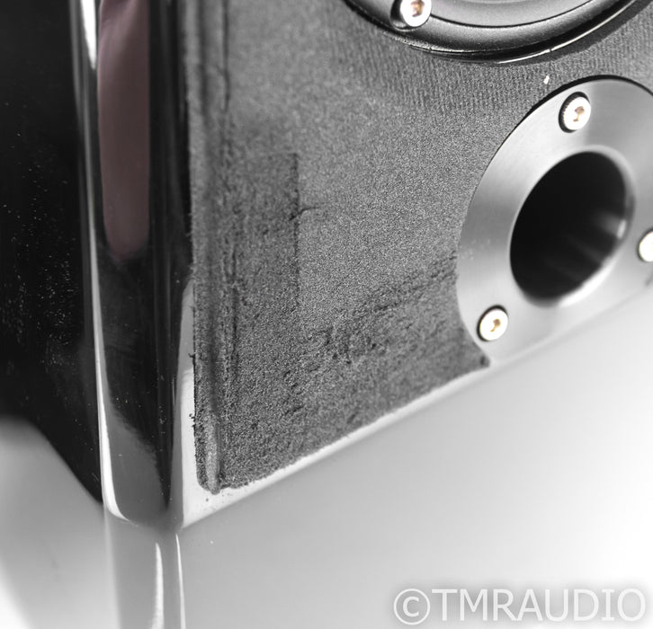 Wilson Watch Surround / Satellite Speakers