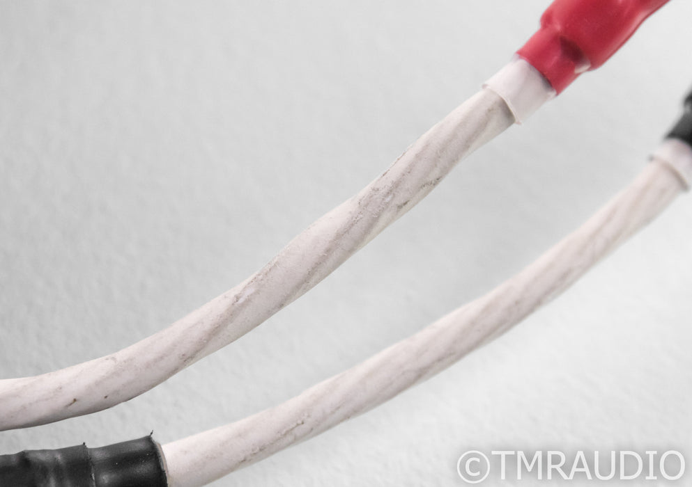 Zentara Reference Speaker Cables; 9ft Pair