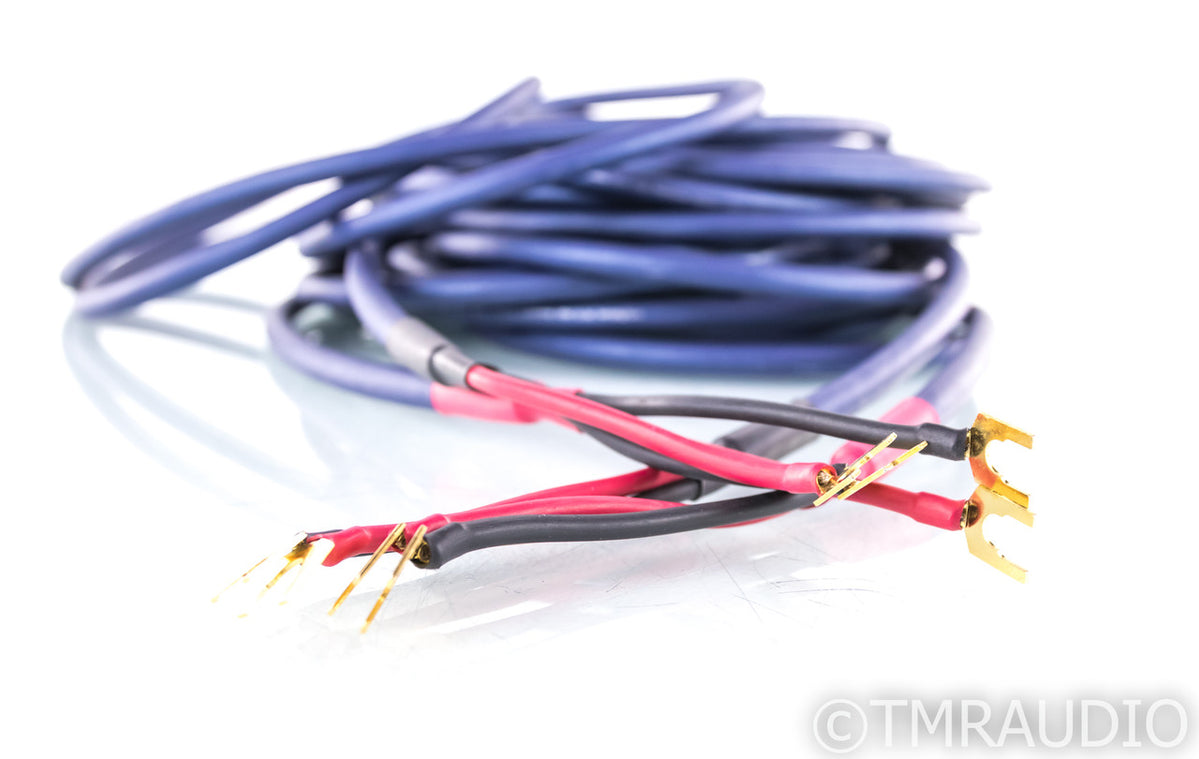Audio Art SC-5 Speaker Cables; SC5; 20ft Pair — The Music Room