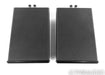 Bel Canto e.One REF600M Mono Power Amplifier