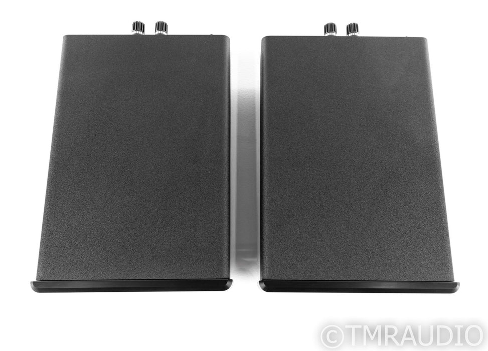 Bel Canto e.One REF600M Mono Power Amplifier