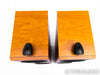 B&W P6 Floorstanding Speakers