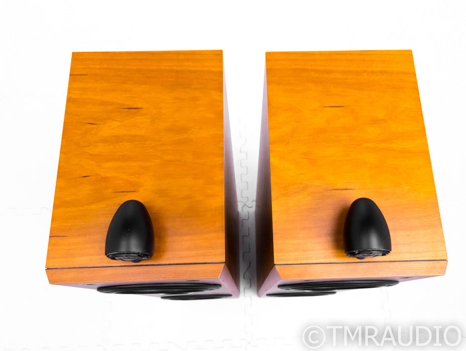B&W P6 Floorstanding Speakers
