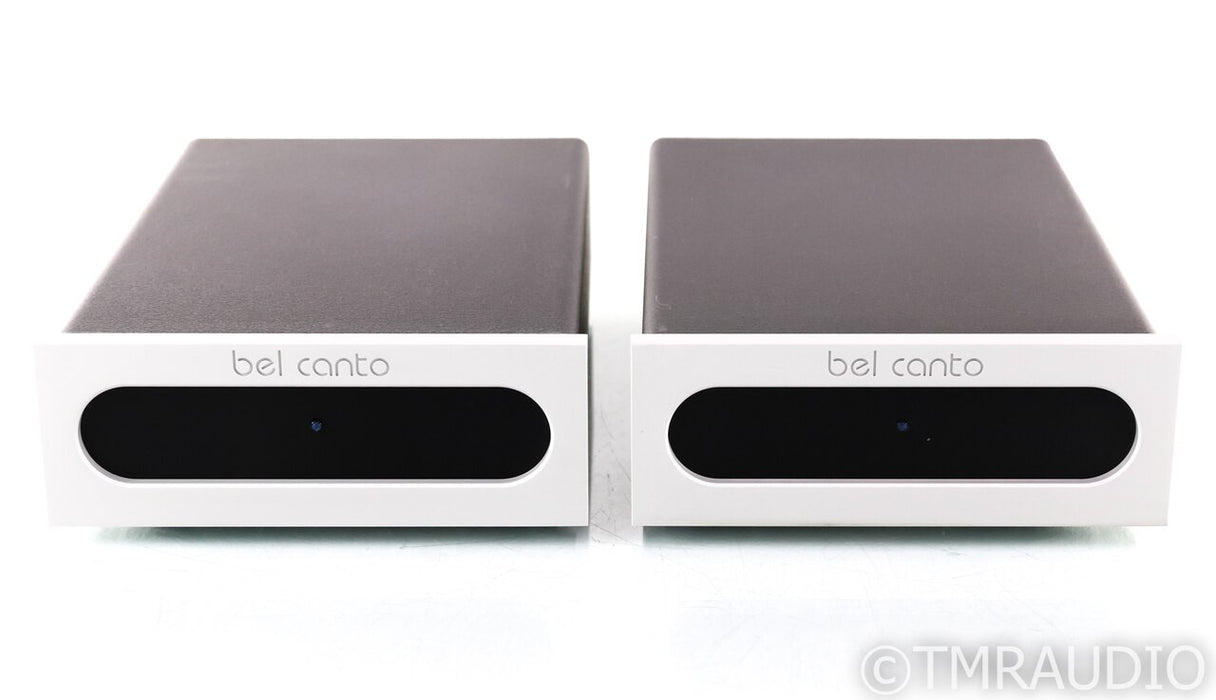 Bel Canto e.One REF500M Mono Power Amplifier