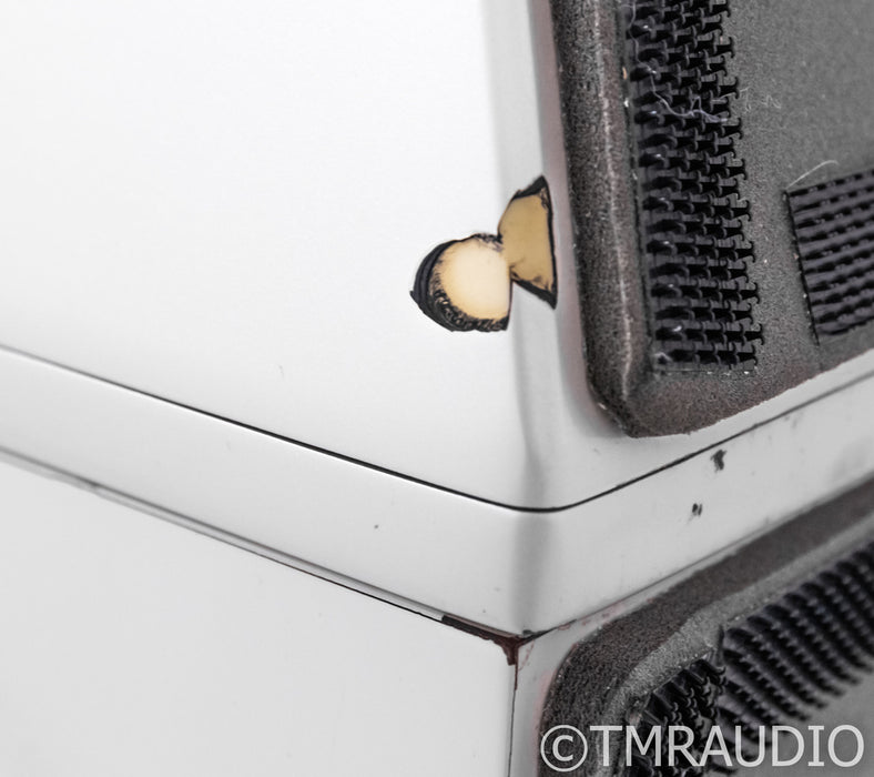 Wilson Audio WATT Series 3-Puppy 2 Floorstanding Speakers