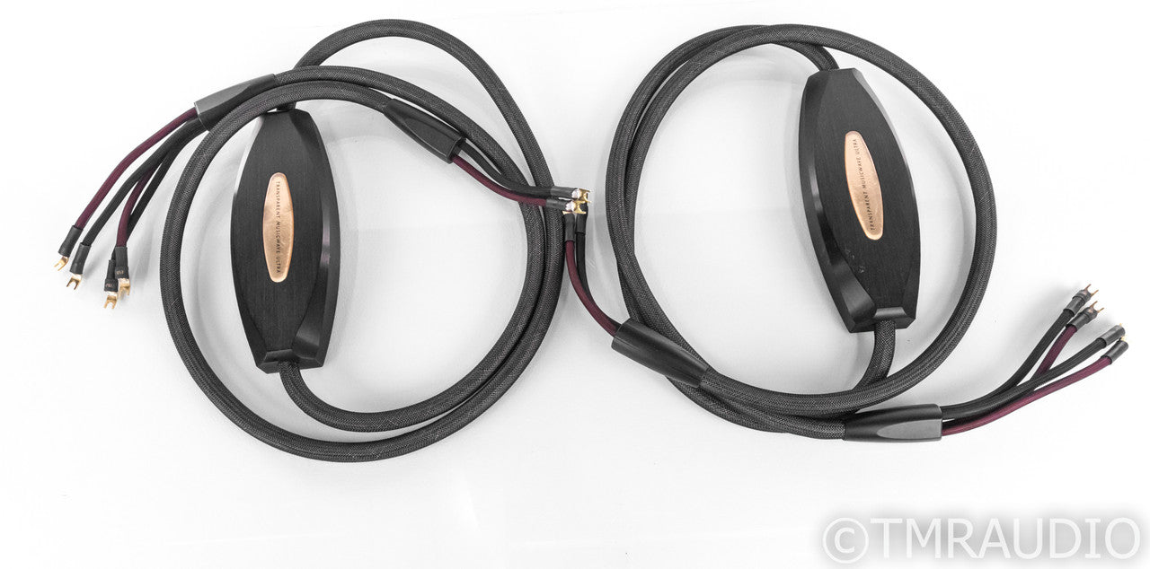 Transparent Audio MusicWave Ultra Bi-Wire Speaker Cables; 10ft Pair