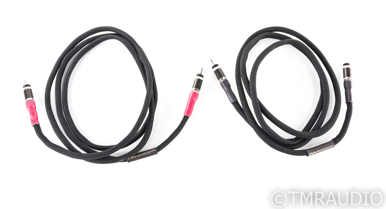 Morrow Audio 10 Year Anniversary Speaker Cable; Single; 2m