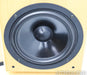 Von Schweikert VR4jr Floorstanding Speakers