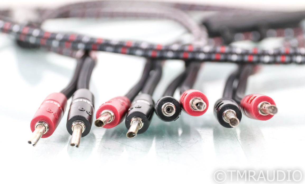 AudioQuest CV-8 Speaker Cables