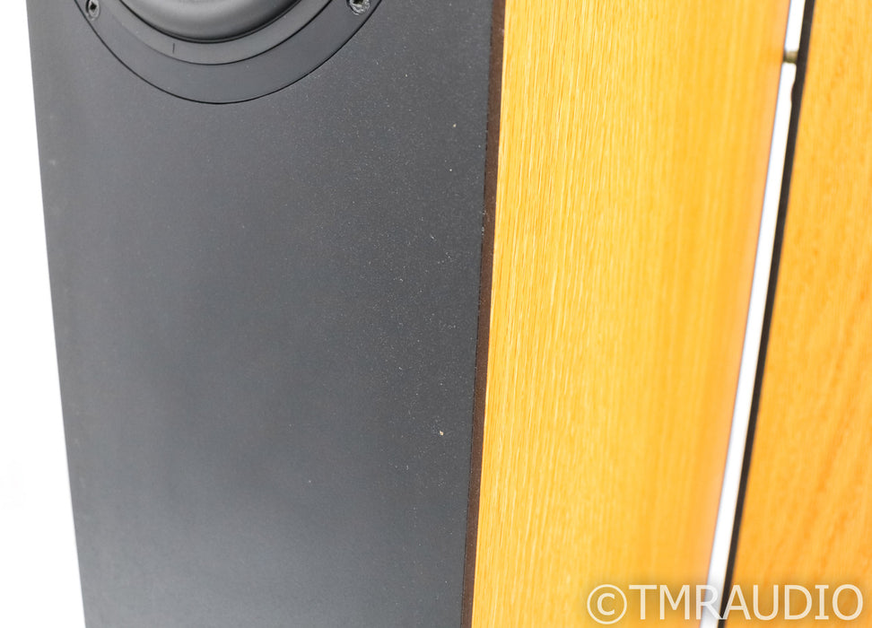 Ryan Model 7.3 Floorstanding Speakers