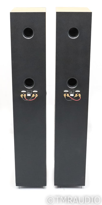 Ryan Model 7.3 Floorstanding Speakers