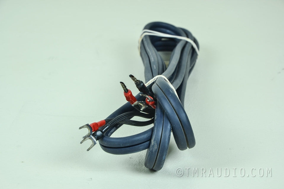 Audioquest Gibraltar SST Hyperlitz 10' Speaker Cable
