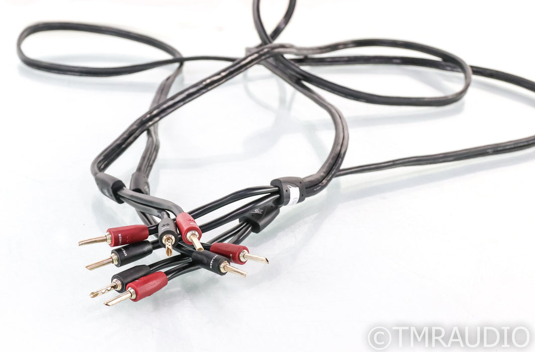 AudioQuest Rocket 11 Speaker Cables