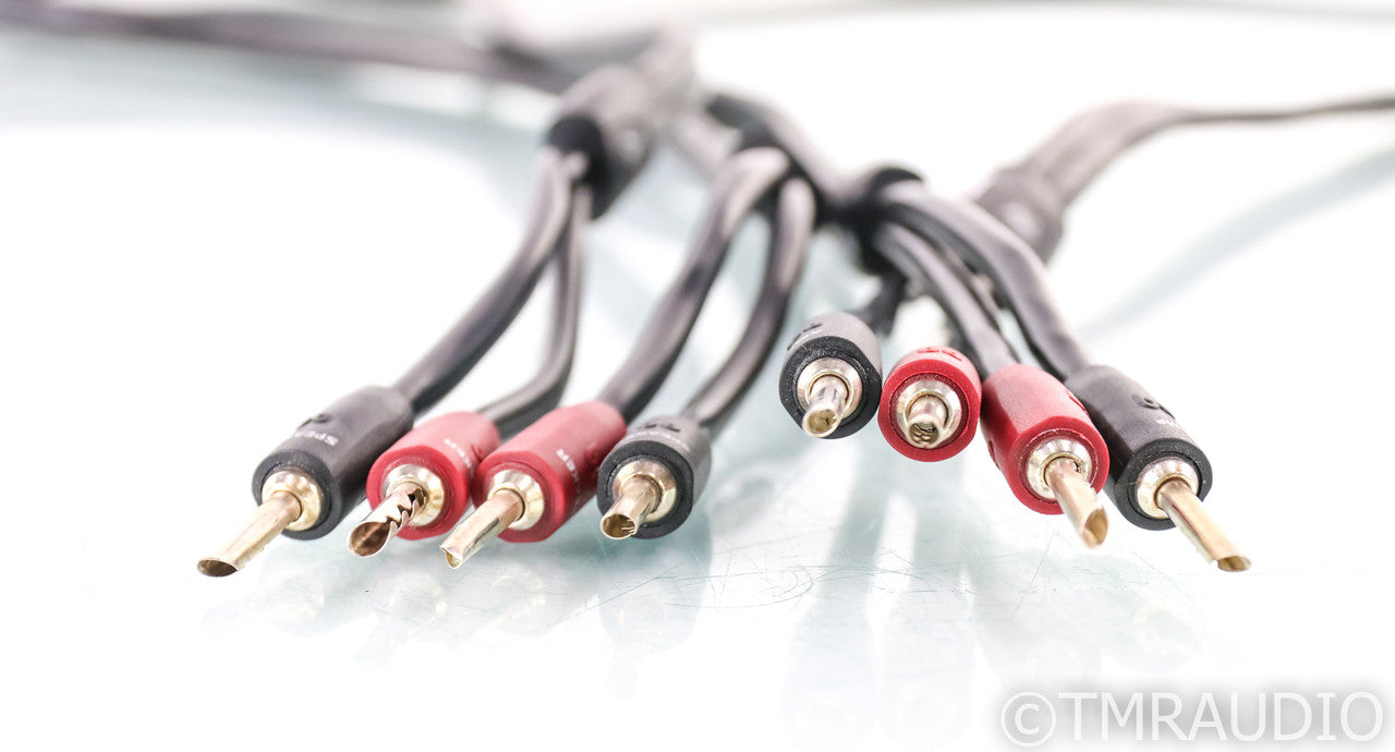 AudioQuest Rocket 11 Speaker Cables