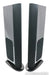 GoldenEar Triton Reference Floorstanding Speakers